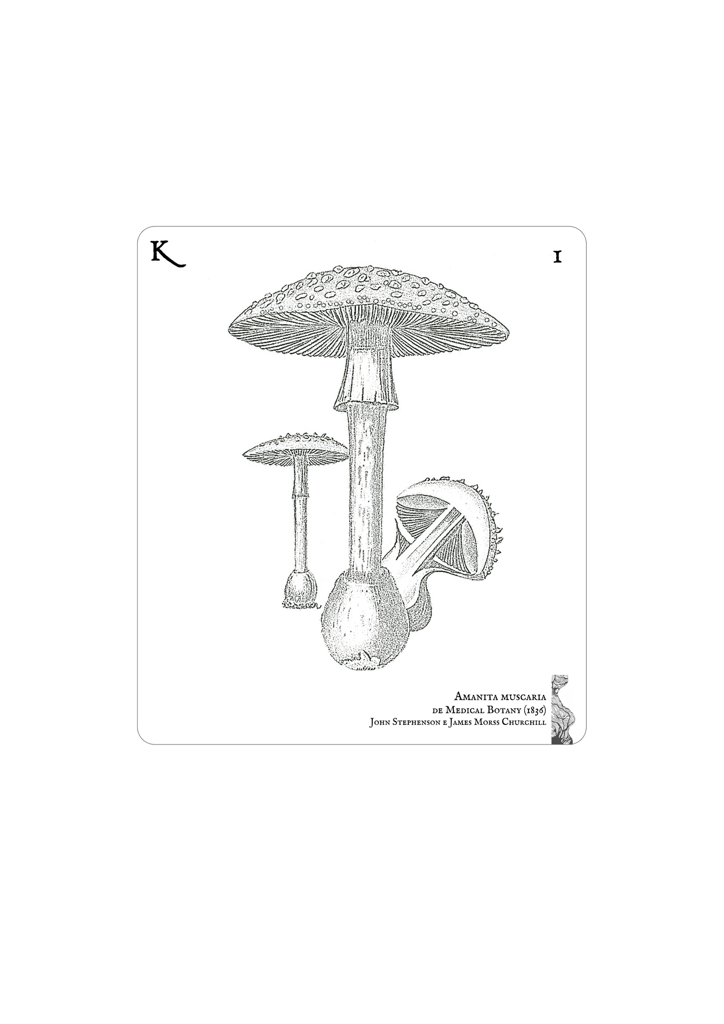 Amanita Mascara