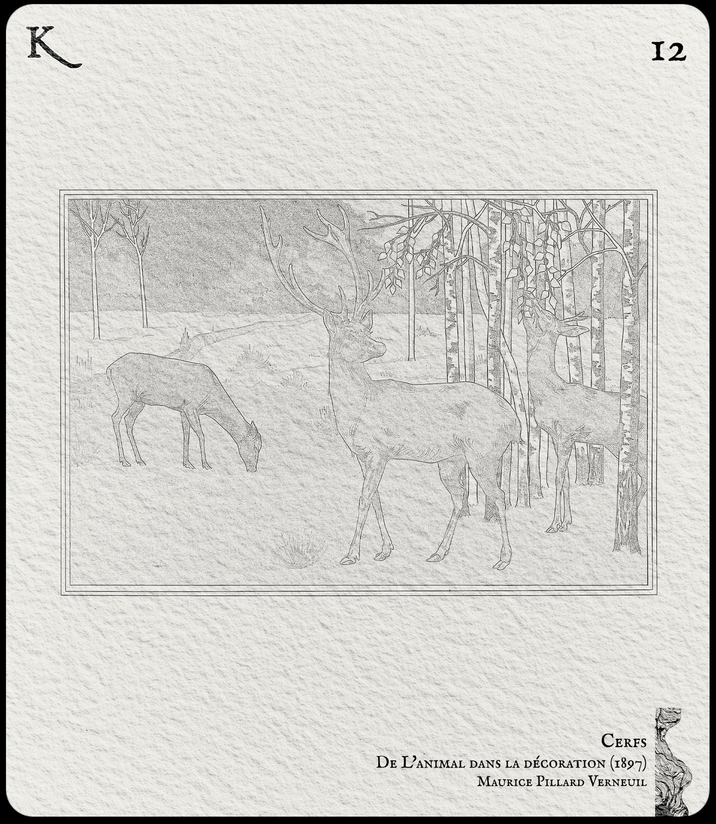 12. Cerfs