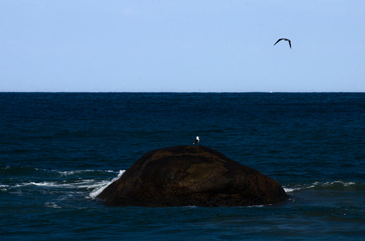 Ilhado