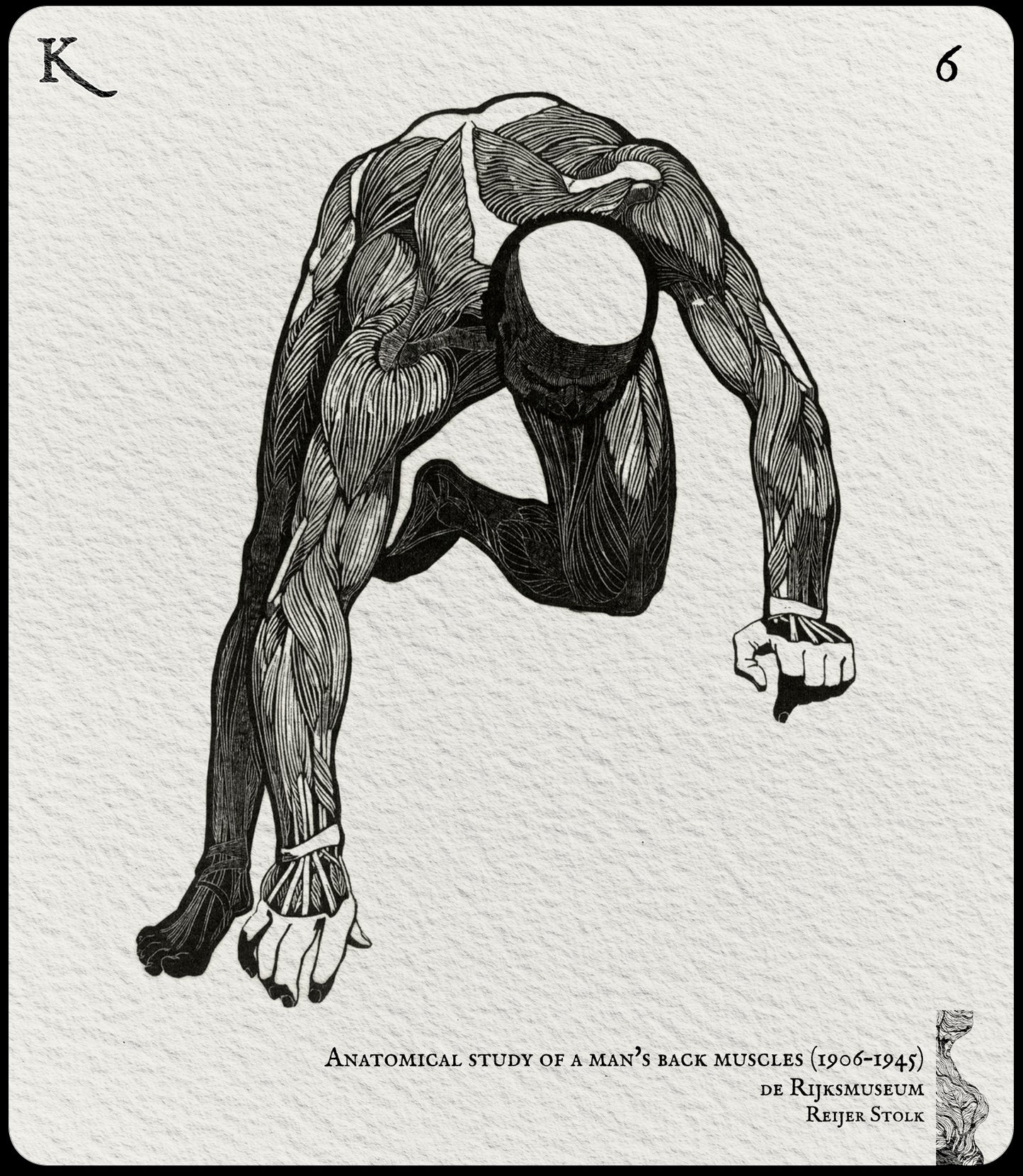6. Anatomical Study of a man's back muscle