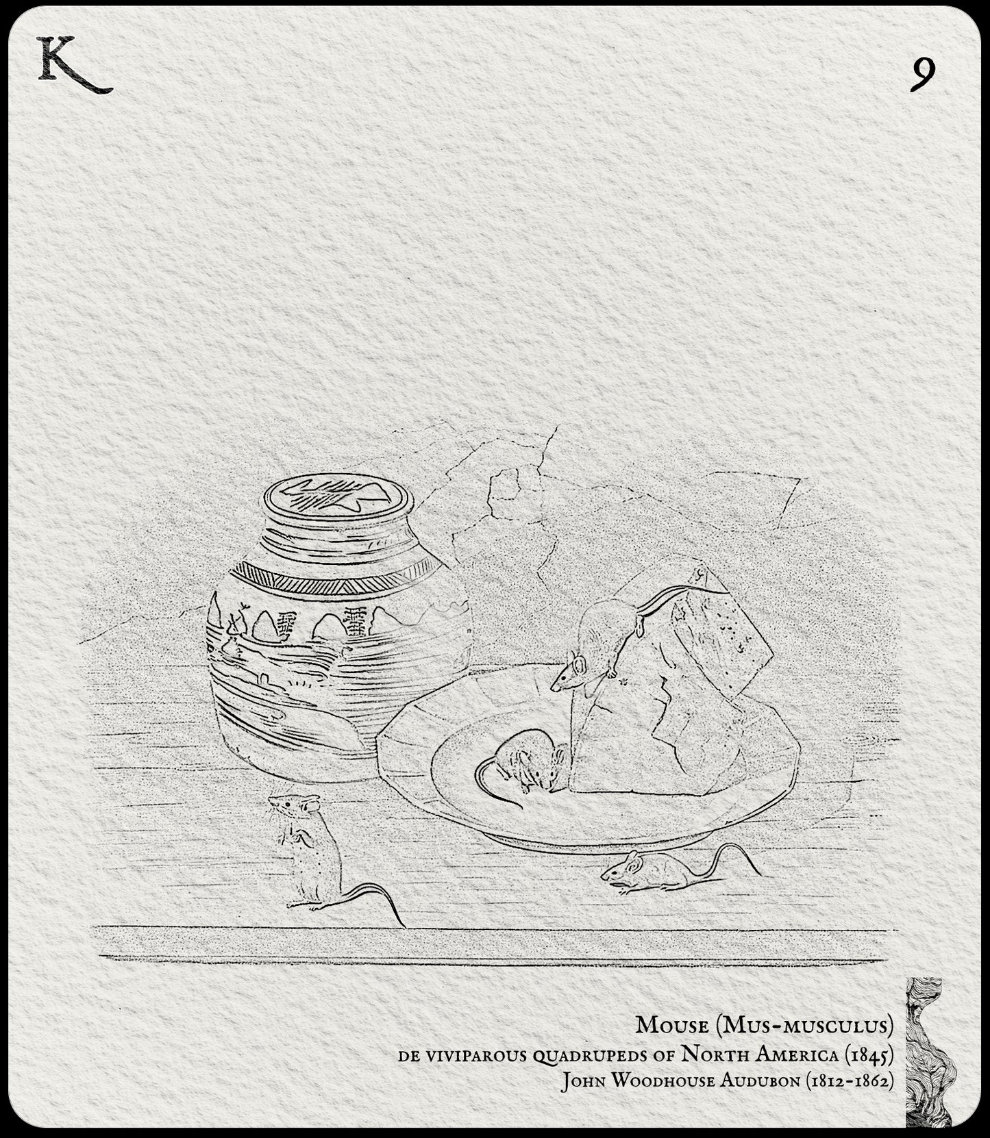 9. Mouse