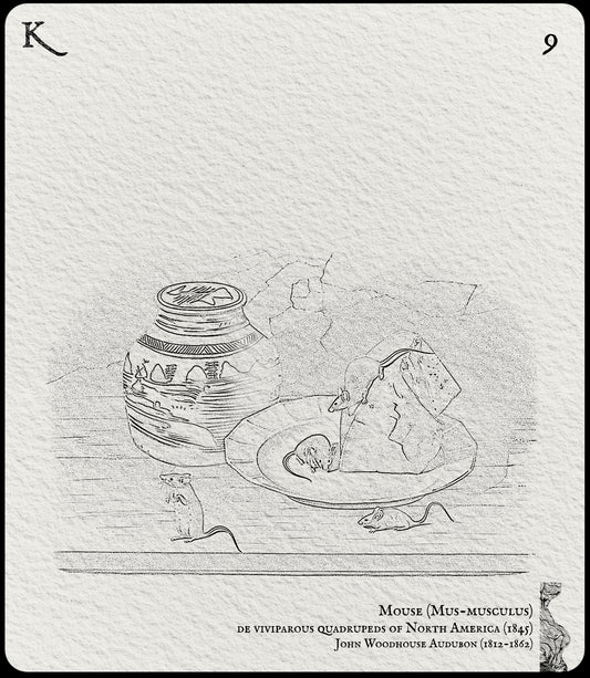 9. Mouse