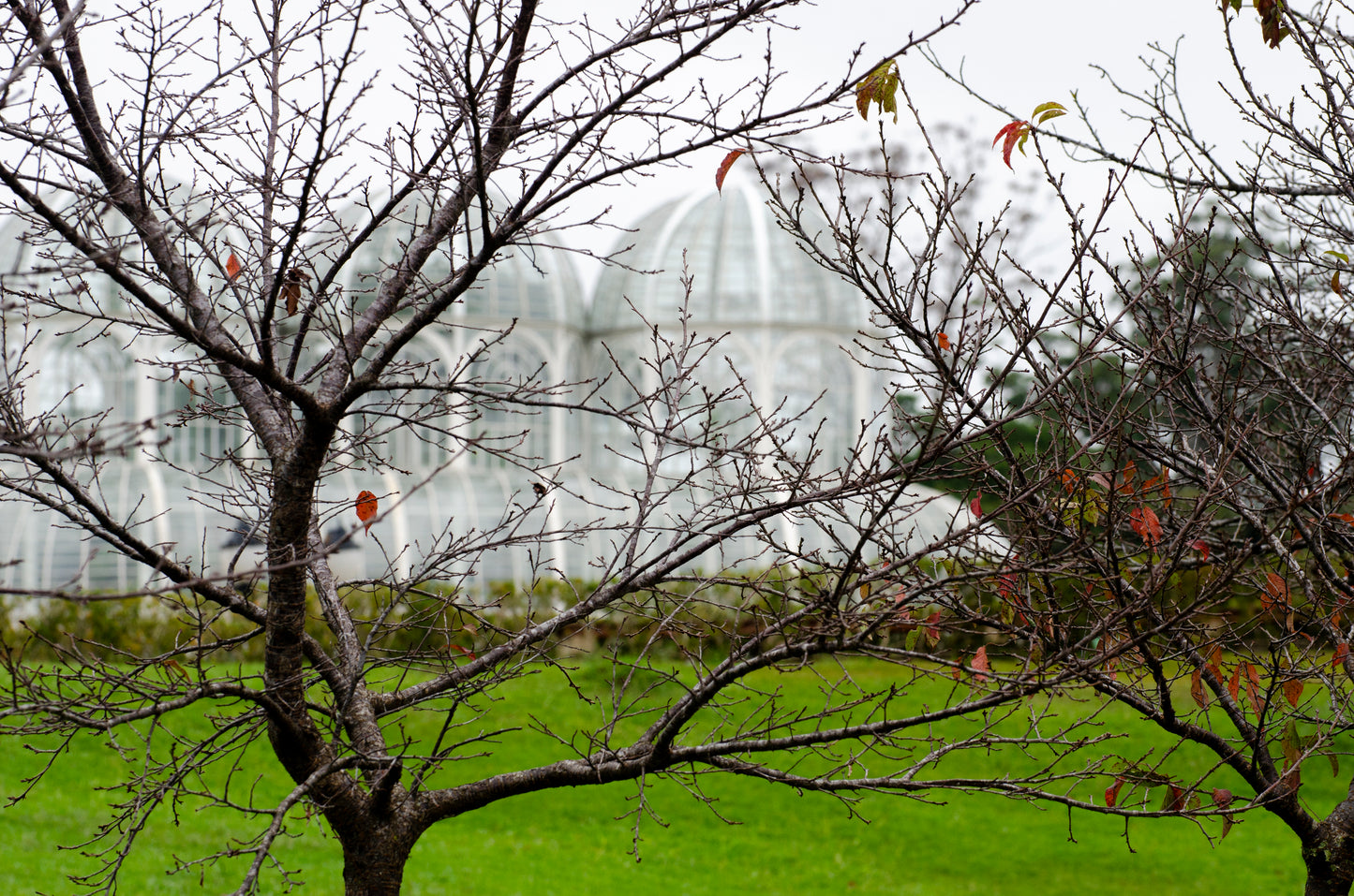 Jardim Botânico