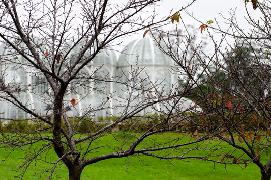 Jardim Botânico