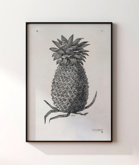 27. Charlotte Rothchild Pineapple