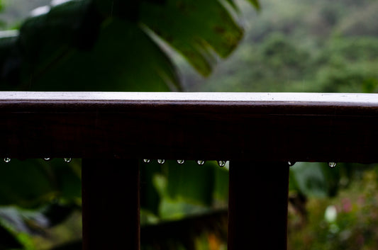 Rainy day