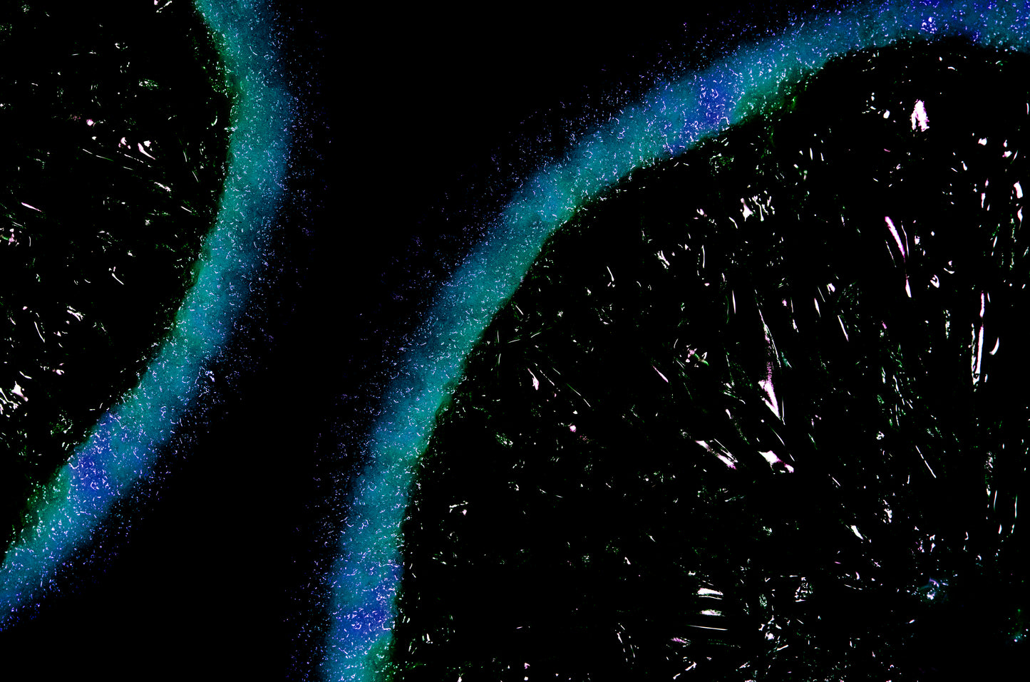 Cells