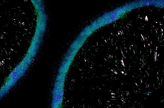Cells