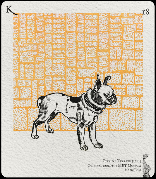 18. Pitbull Terrier (1912), Original from the MET Museum