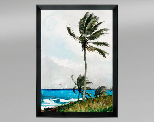 Palm Tree, Nassau (1898)