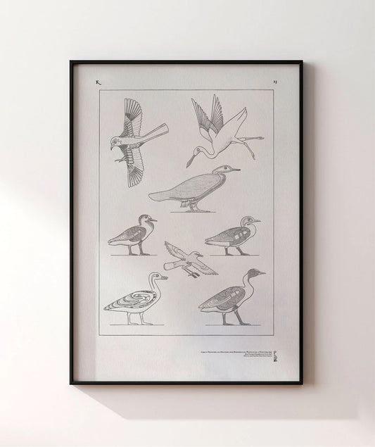 23. Nevoethph and Menothph