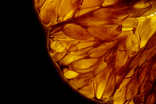 Citric Sun